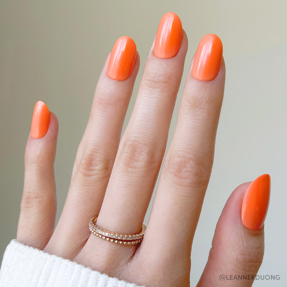 Apricot