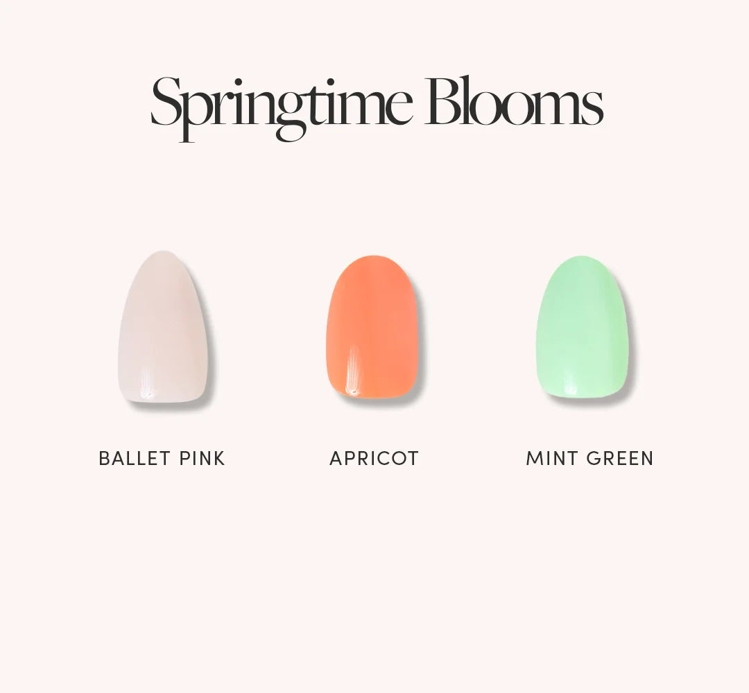 Springtime Blooms