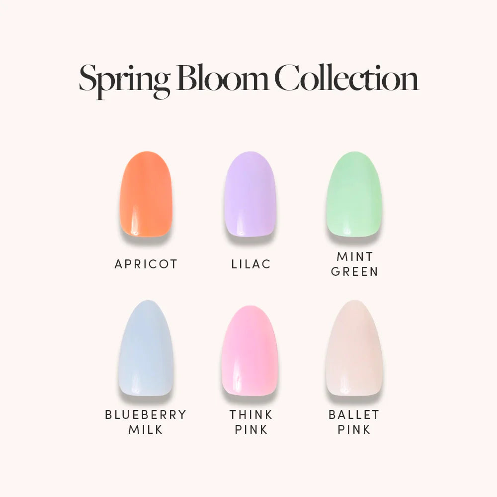 The Solids: Spring Bloom Collection