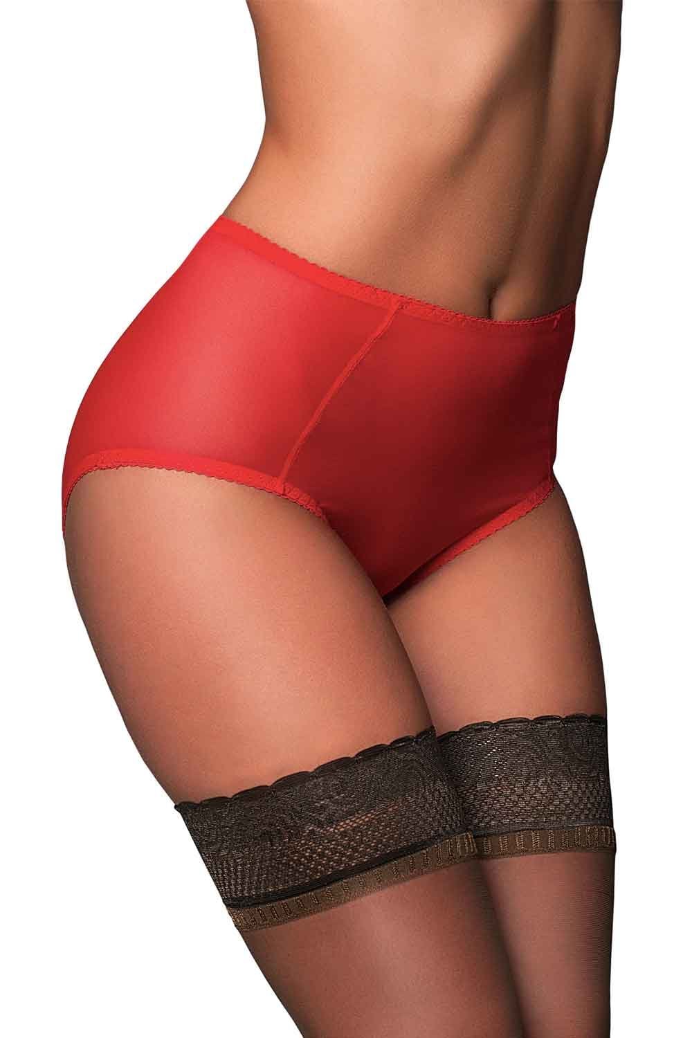 Betty Sheer Mesh Knickers NDBSK