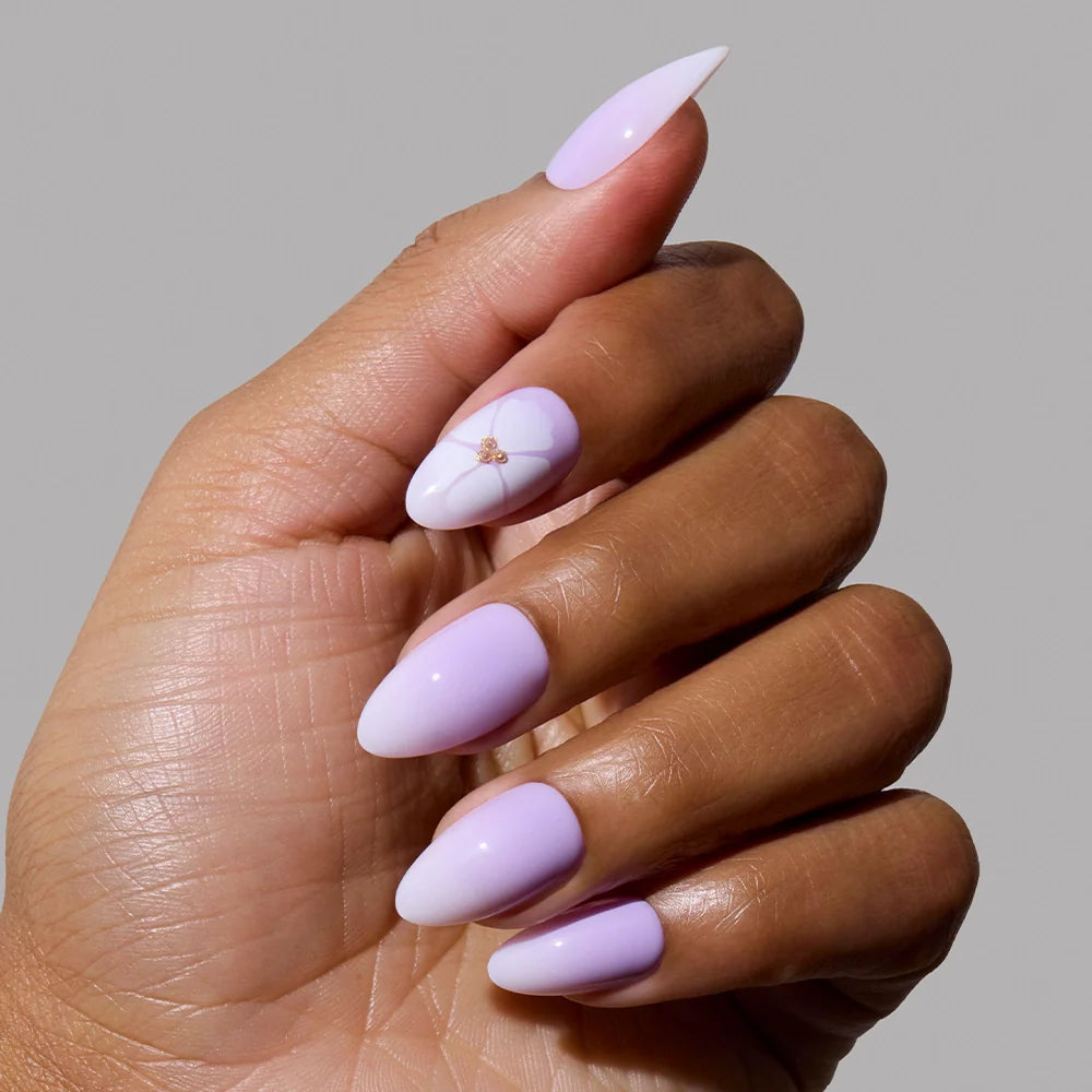Lilac Reef