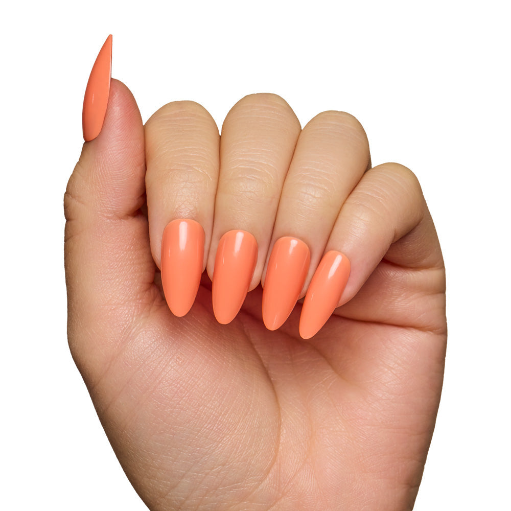 Soft Tangerine